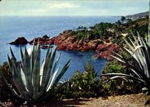 CPM Reflets de la Cote d'Azur La Corniche d'Or Rivages Mediterraneens 
