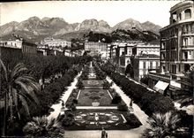 CPM Menton Le Jardin Public 