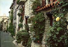 CPM Antibes Cote d'Azur Rue du Castellet 