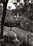 CPM Luceram Village medieval Vue generale Chevre