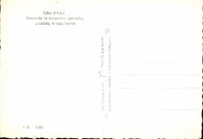 CPM Cote d'Azur Route de la Moyenne Corniche a droite le Cap ferrat