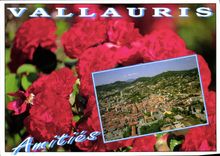 CPM La Cote d'Azur Vallauris 