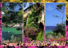 CPM Sous le Soleil du Midi 