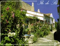 CPM La Cote Atlantique Ile De Re Charente Maritime 
