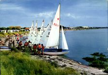 CPM Fouras La Flotte des Voiliers du Village 