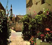 CPM Ile de Re Charente Maritime Une jolie vanelie en fleurs 