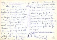CPM Ile de Re Charente Maritime Une jolie vanelie en fleurs
