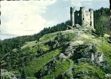 CPM Cantal Pittoresque La Chateau d'Alleuze 