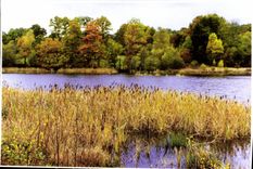 CPM Images de nos Campagnes 