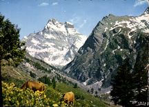 CPM Dans les Alpes Alpages du Mont Viso 
