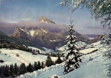 CPM Paysage hivernal 