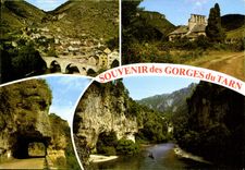 CPM Souvenir des Gorges du Tarn 