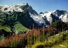 CPM Nos Belles Alpes La Meije 