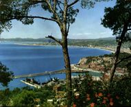 CPM Nice vue prise du Mont Boron 