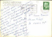 CPM La Cote d'Azur miracle de la nature Menton Alpes Maritimes les citronniers et la Splendide Baie 