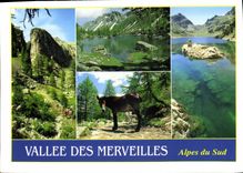 CPM Vallee des Merveilles Alpes Maritimes Entre les Vallees de la Roya et de la Vesubie dans une reg