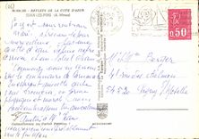 CPM Reflets de la Cote d'Azur Juan les Pins A Mmes