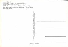 CPM Les Merveilles du Val de Loire Langeais Indre et Loire vue aerienne le Chateau XV siecle et ses