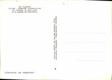 CPM En Touraine Amboise Indre et Loire le Chateau le Clos Luce et la Pagode de Chanteloup