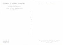 CPM Val de Loire Loches Indre et Loire l'Indre la Porte des Cordeliers et le Chateau 