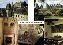 CPM En Touraine Chateau de Loches Indre et Loire 