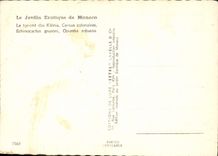 CPM Le Jardin Exotique de Monaco le torrent des Klenia Cereus colonaires Echinocactus grusoni Opunti