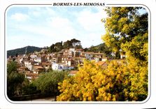 CPM Au Soleil de la Cote d'Azur Bormes les Mimosas le Village 