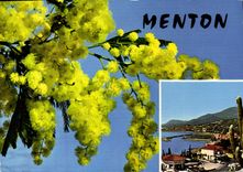 CPM Menton Souvenir de Menton 