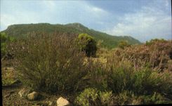 CPM L'Esterel le Massif 