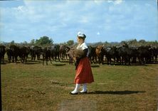 CPM Les Belles Images de Camargue Mireille Visitant sa Manade 