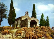 CPM Au Soleil du Midi Symphonie Pastorale 