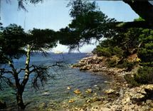 CPM Lumiere et Beaute de la Cote d'Azur les eaux Calmes des Calanques 