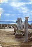 CPM Carthage Tunisie la terrasse du Musee Archeologique 
