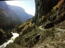 CPM Les Gorges du Verdon Var Alpes de Haute Provence un des sites les plus grandioses du monde ici l