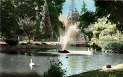 CPM Vichy Allier le Lac et les Cygnes 