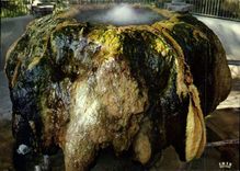 CPM Bassin de Vichy Allier Station Ideale Sante Vacances la Source du Dome 66e a Hauterive 