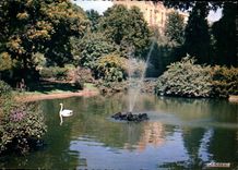 CPM Vichy Allier Reine des ville d'Eaux Dans les Grands Parcs le bassin des Cygnes 