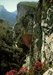 CPM Paysage de France Gorges du Verdon Var Alpes de Haute Provence un des plus beaux sites du monde 