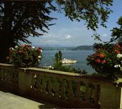 CPM Ile de Mainau au Lac de Constance vue de la terrasse du chateau vers le village d'Unteruhidingen