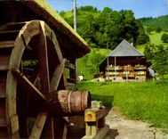 CPM Moulin a eau Foret Noire