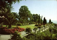 CPM Ile de Mainau au Lac de Constance Terrasse du chateau 