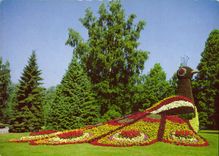 CPM Ile de Mainau au Lac de Constance Paon en fleurs au paradis des enfants 