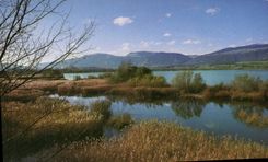 CPM Reserve naturelle de Champittet Yverdon 