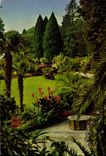 CPM Ile de Mainau au Lac de Constance vue de la palmiere vers le parc 