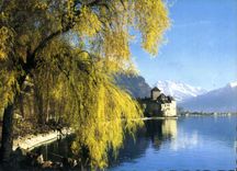 CPM Chateau de Chillon et les Dents du Midi 