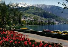 CPM Montreux Clarens les quais fleuris 