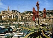 CPM Couleurs et lumiere de France la Cote d'Azur miracle de la nature Menton Alpes Maritimes le Port