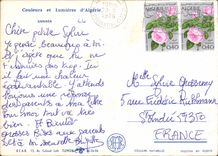 CPM Couleurs et lumieres d'Algerie Annaba