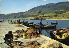 CPM Algerie Chetaibi le Port 