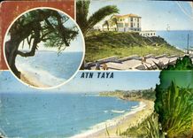 CPM Les Plages d'Alger Ain Taya 